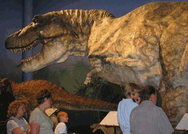 TRex amuck, photograph courtesy of Simon Rutherford, copyright 2007, all rights reserved