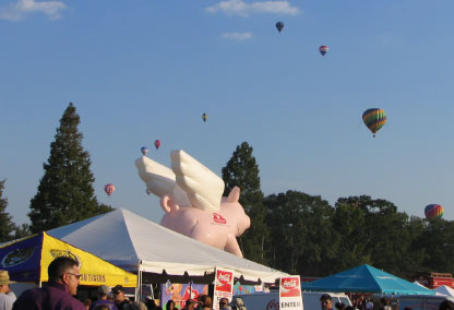 Flat Earth inflatable pigasus, Louisiana balloon championship 2007, copyright Dr. Donna Rogers